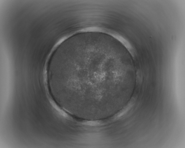 X0000113880998200909241348