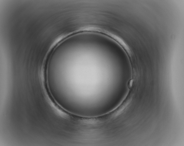 X0000113880999200909241348