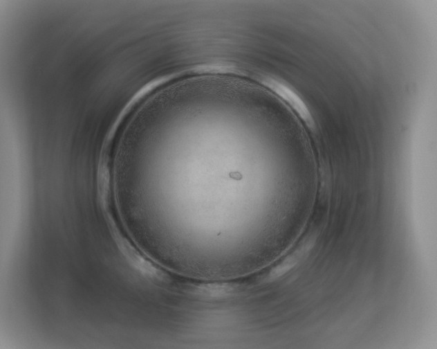 X0000113881000200909241348