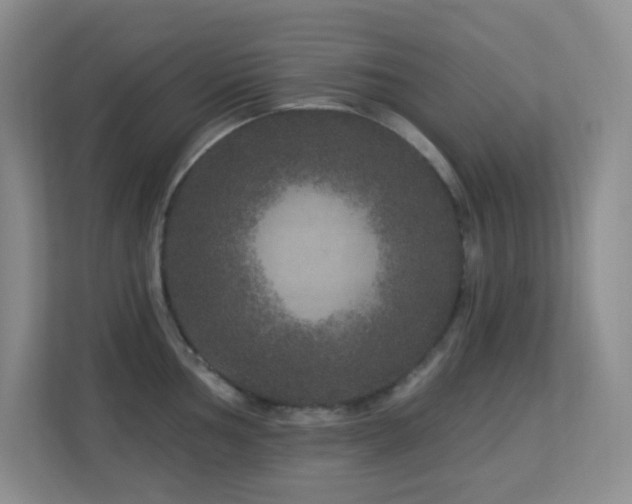 X0000113881002200909241348