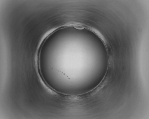 X0000113881003200909241348