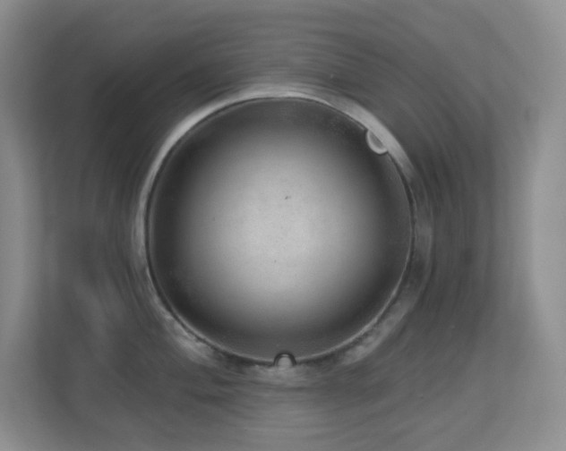 X0000113881004200909241348