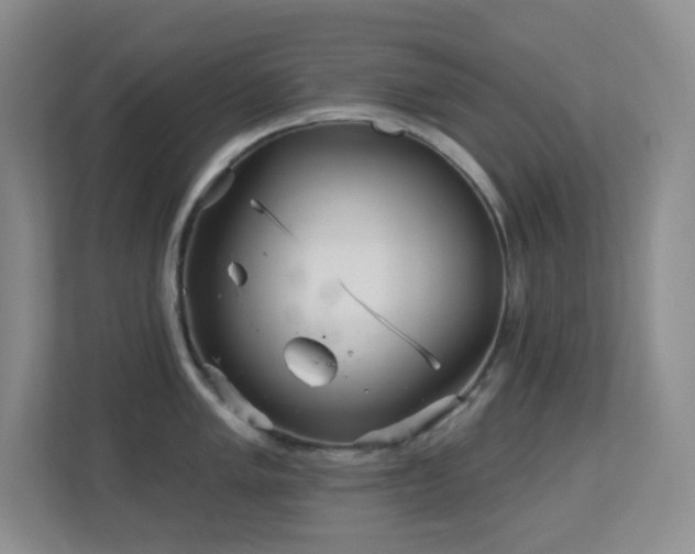 X0000113881005200909241348