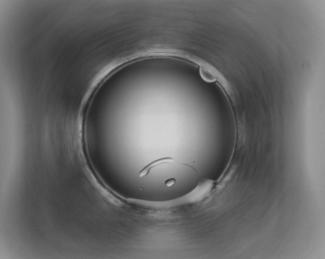X0000113881006200909241348