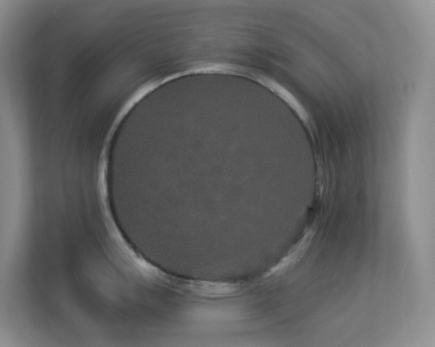 X0000113881007200909241348
