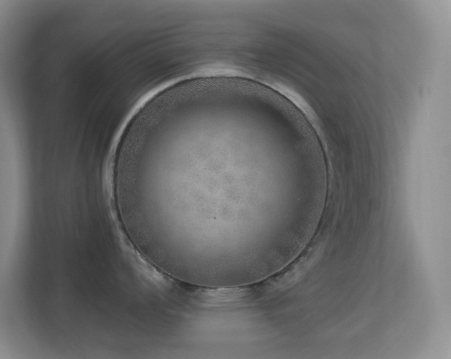 X0000113881008200909241348