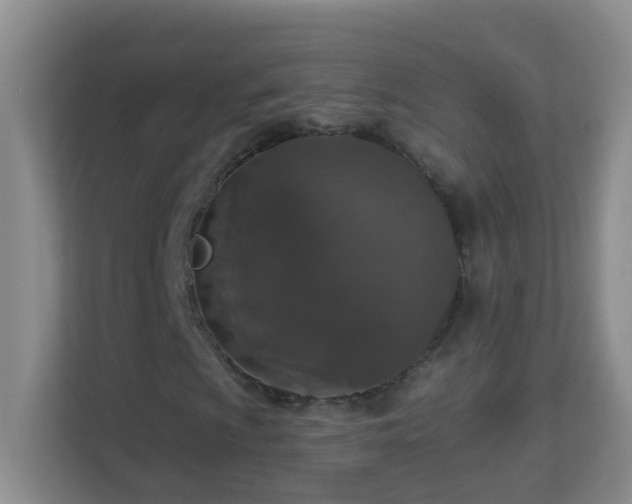 X0000113881009200909241348