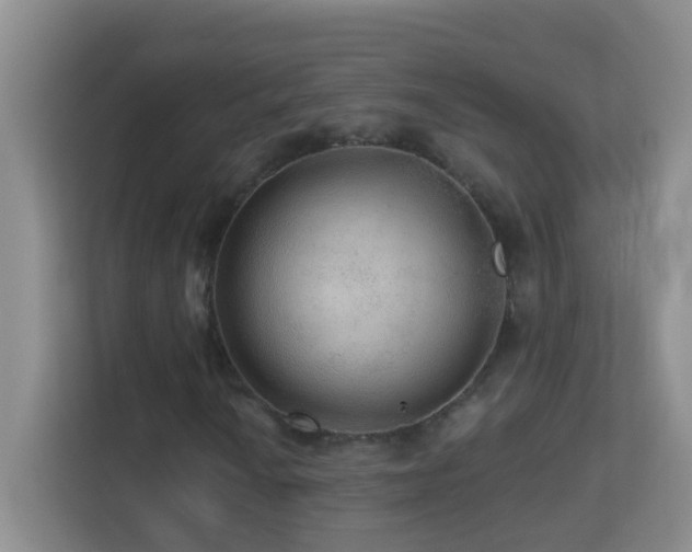 X0000113881010200909241348