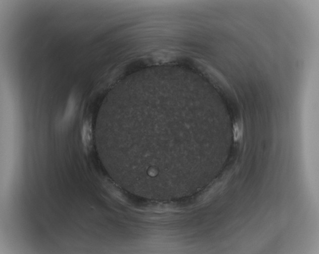 X0000113881011200909241348