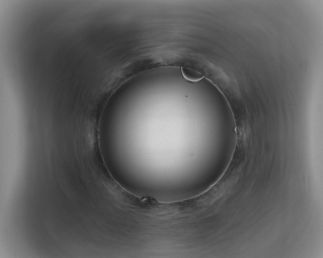 X0000113881012200909241348
