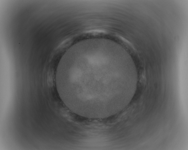 X0000113881014200909241348