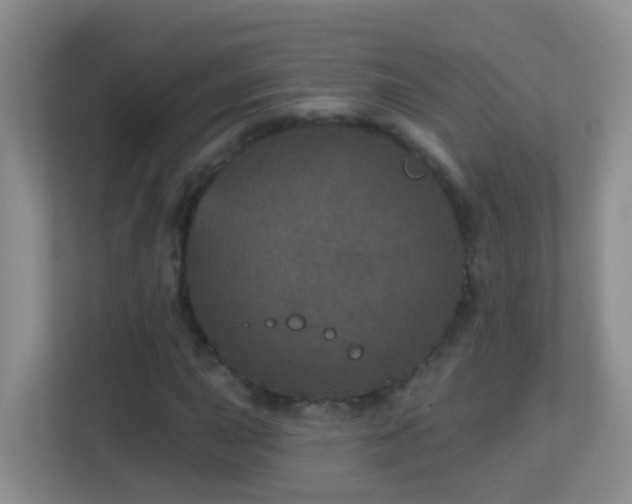 X0000113881015200909241348