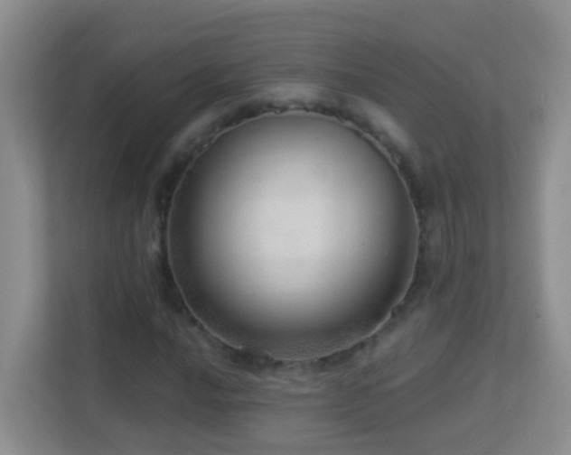 X0000113881016200909241348