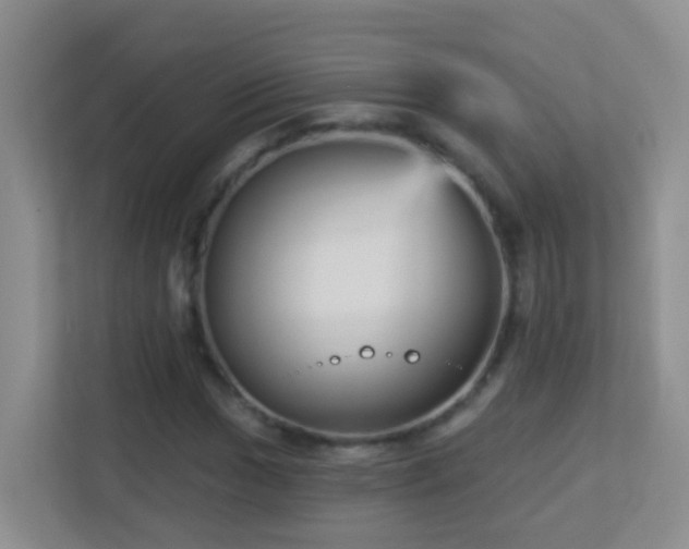 X0000113881017200909241348