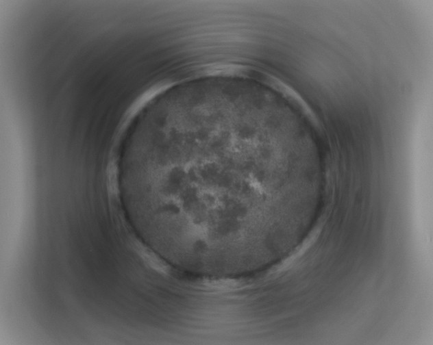 X0000113881019200909241348