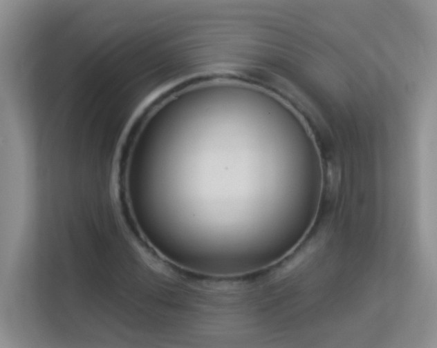 X0000113881020200909241348