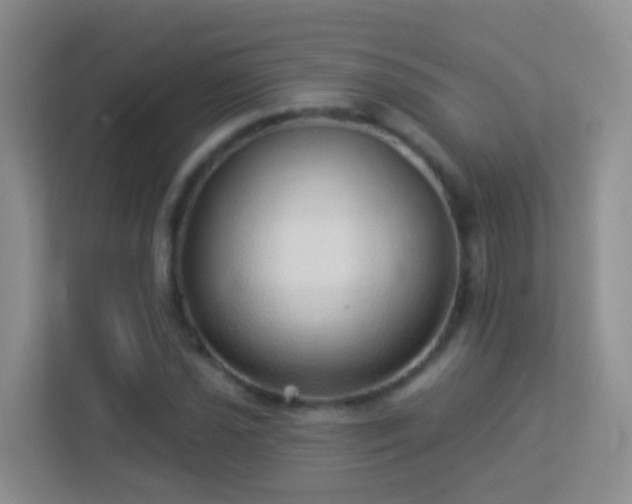 X0000113881021200909241348