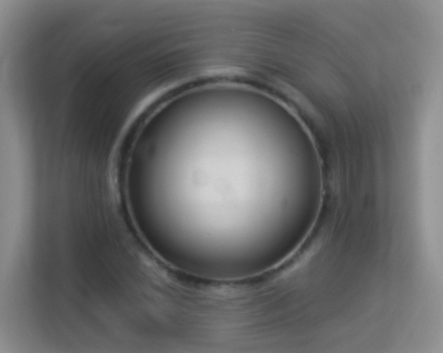 X0000113881022200909241348