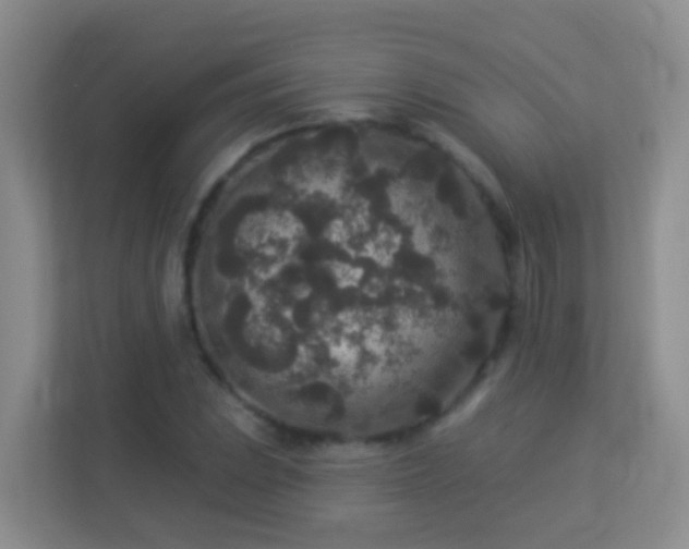 X0000113881023200909241348