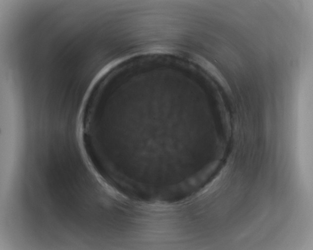 X0000113881024200909241348