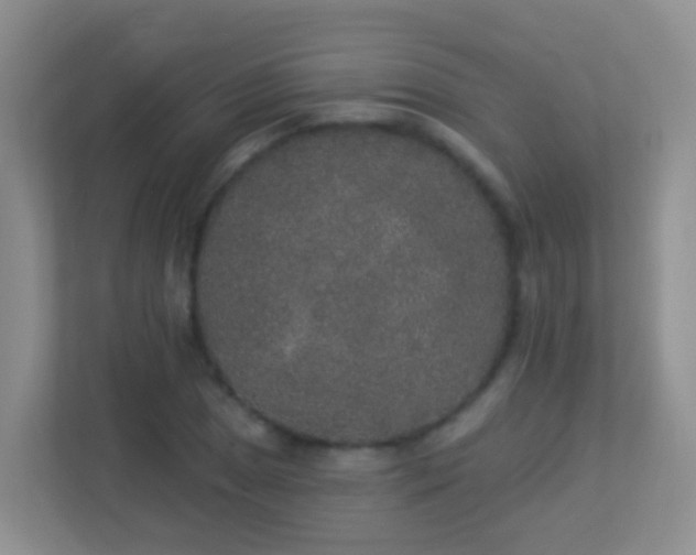 X0000113881025200909241348