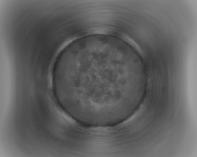 X0000113881027200909241348