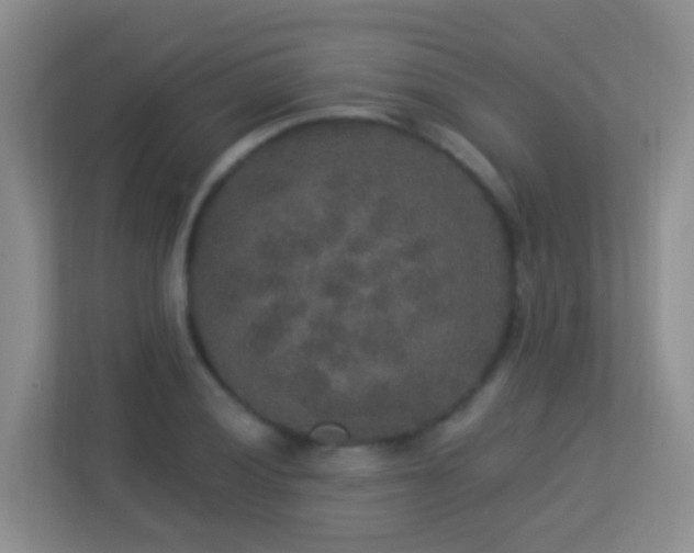 X0000113881028200909241348