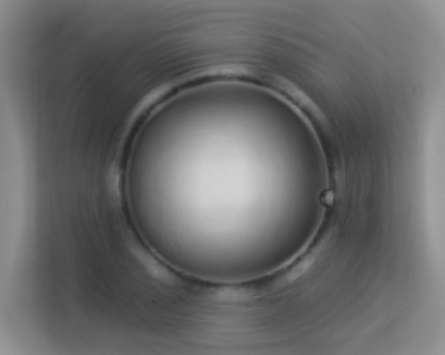 X0000113881029200909241348