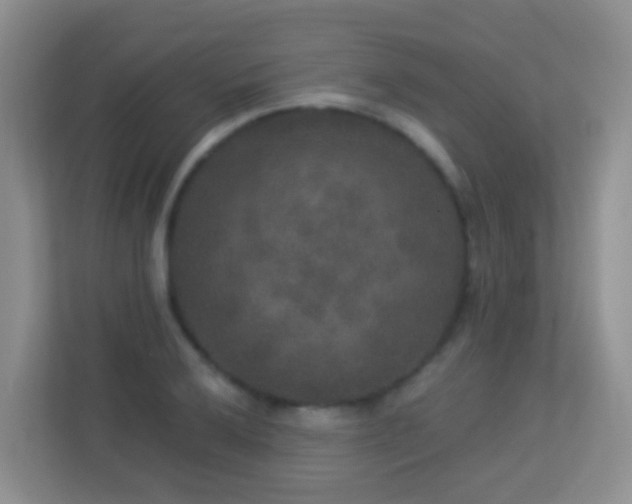 X0000113881032200909241348