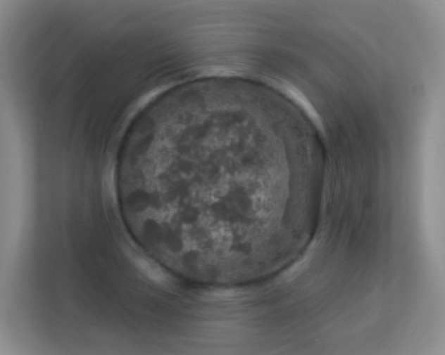 X0000113881035200909241348