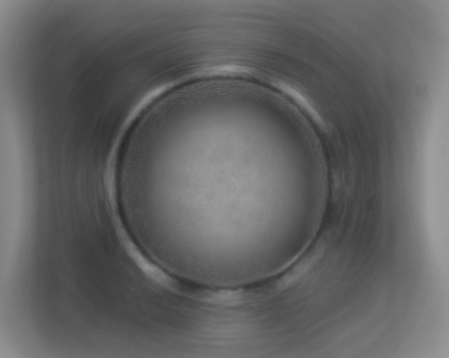 X0000113881038200909241348