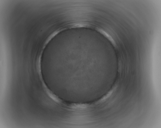X0000113881039200909241348
