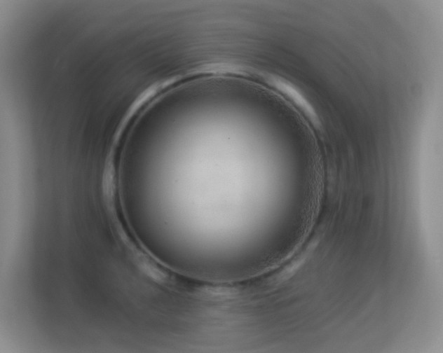 X0000113881040200909241348
