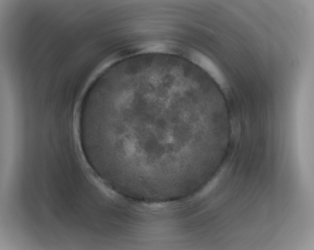 X0000113881043200909241348
