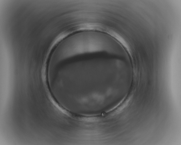 X0000113881045200909241348