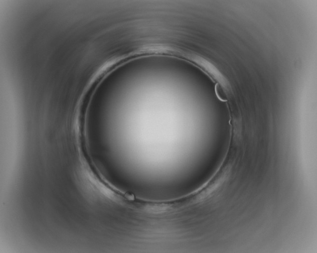 X0000113881046200909241348