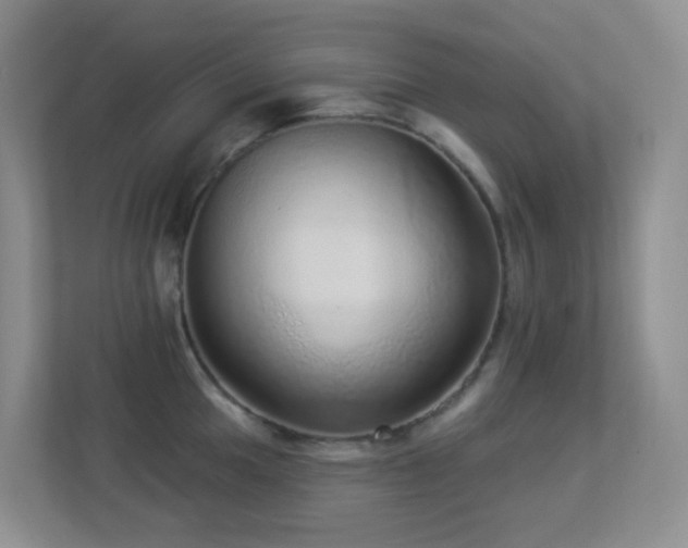 X0000113881049200909241348