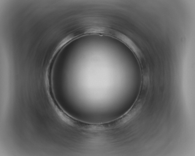 X0000113881050200909241348