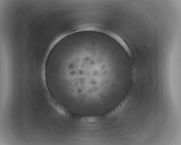 X0000113881051200909241348