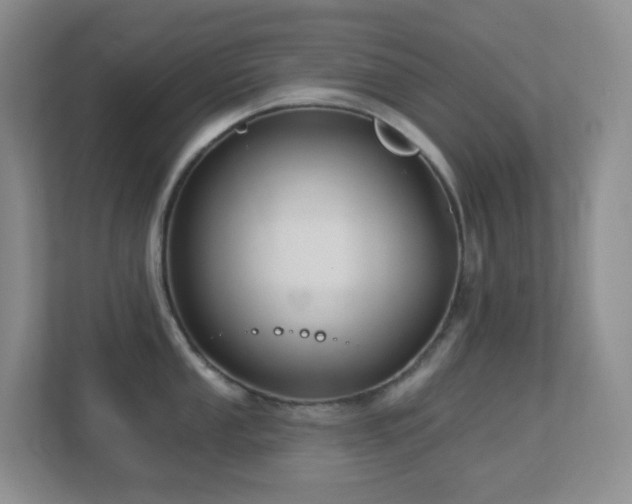 X0000113881053200909241348