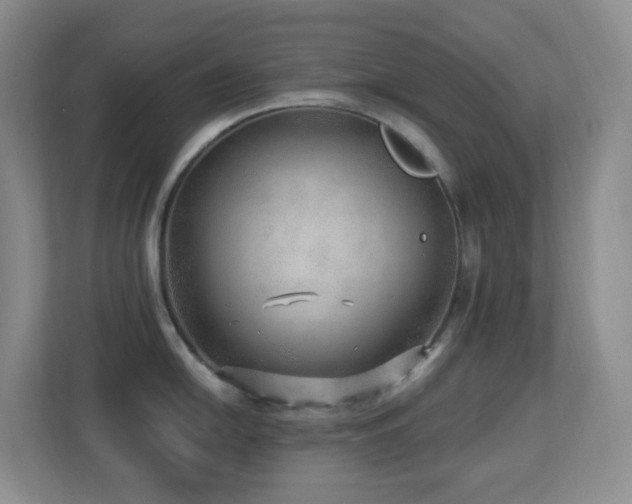 X0000113881054200909241348