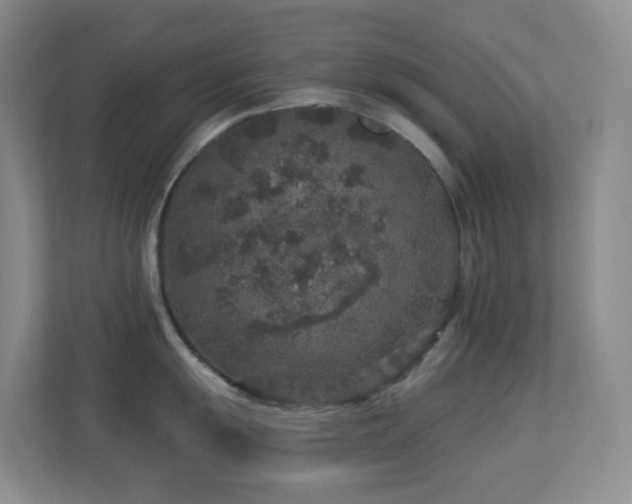X0000113881055200909241348