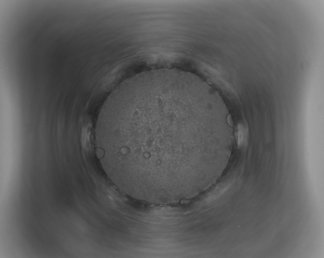 X0000113881059200909241348