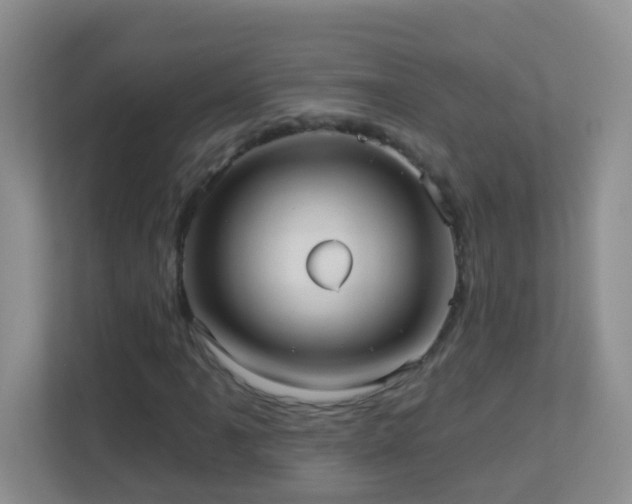 X0000113881061200909241348