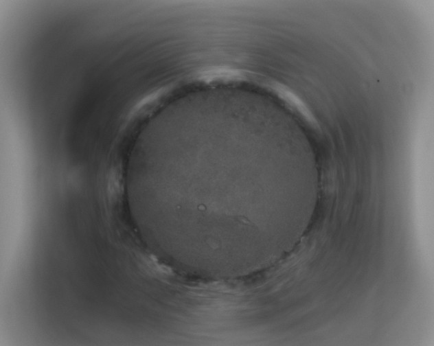 X0000113881063200909241348