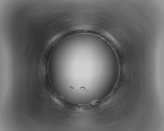 X0000113881064200909241348