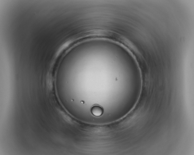X0000113881067200909241348