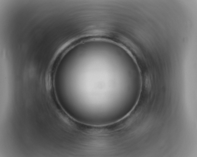 X0000113881069200909241347