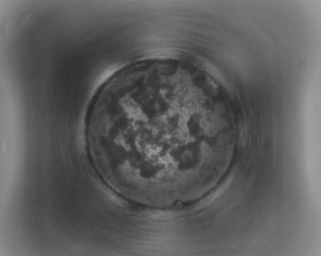 X0000113881071200909241347
