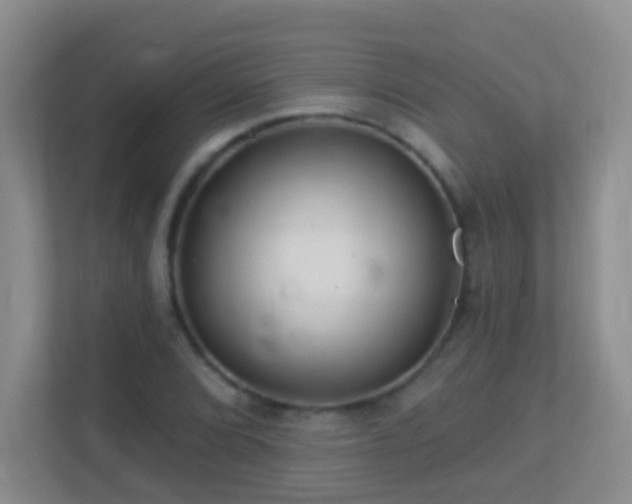 X0000113881072200909241347